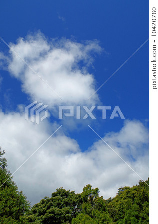 Summer sky and green Summer sky and green 10420780