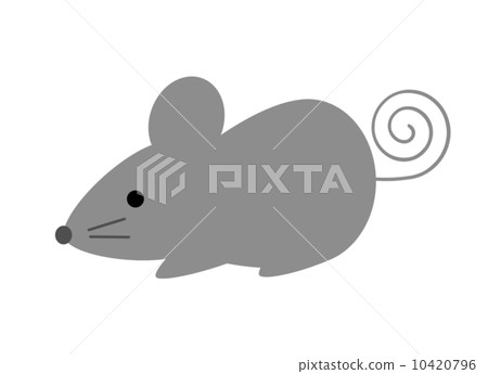 A mouse 10420796