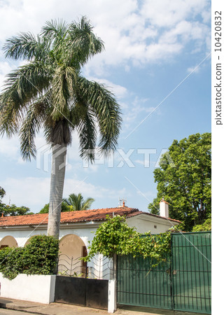 Houses and gates with palm trees Houses and gates with palm trees 10420832