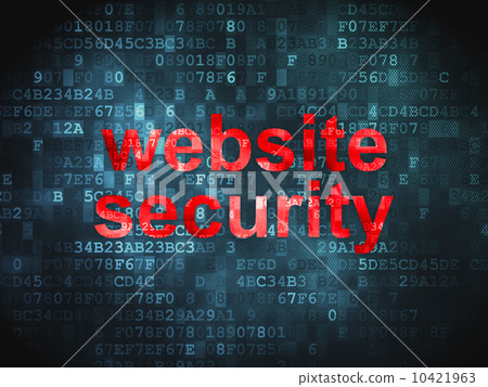 Privacy concept: Website Security on digital background Privacy concept: Website Security on digital background 10421963