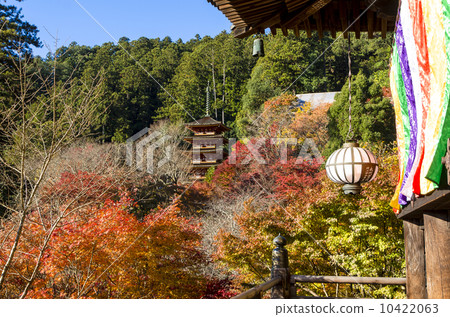 Autumn leaves of Hase-dera Temple Autumn leaves of Hase-dera Temple 10422063