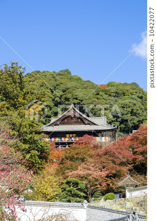 Autumn leaves of Hase-dera Temple Autumn leaves of Hase-dera Temple 10422077