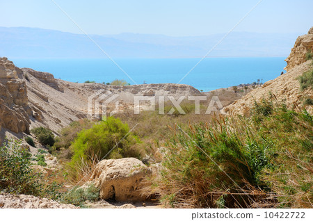 Ein Gedi Nature Reserve 10422722