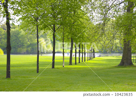 London Hyde Park London Hyde Park 10423635