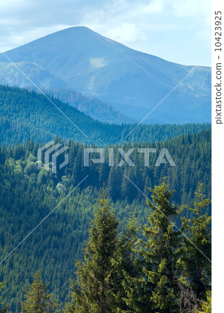 Summer mountain  landscape 10423925