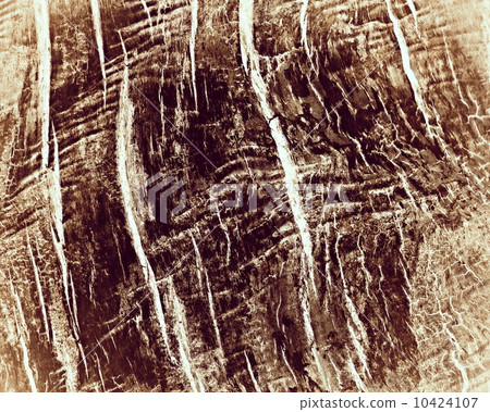 old wood texture 10424107