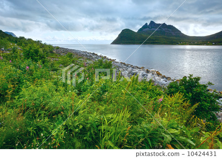 Sea summer view (Norway, Lofoten). Sea summer view (Norway, Lofoten). 10424431