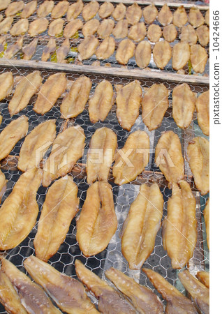 Blowfish taste dripping Blowfish taste dripping 10424666