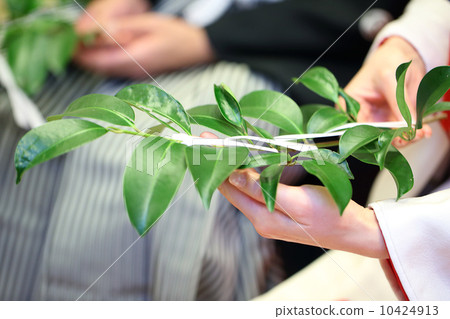 Shinto wedding ceremony 10424913
