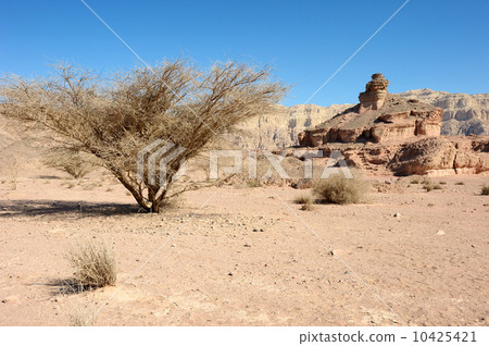Timna National Park Timna National Park 10425421