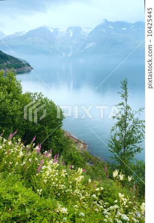 Fjord summer cloudy view (Norway) Fjord summer cloudy view (Norway) 10425445