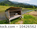Unmanned sales in the country and paddy fields 10426562