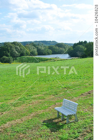 Square with lawn and white bench Square with lawn and white bench 10426828