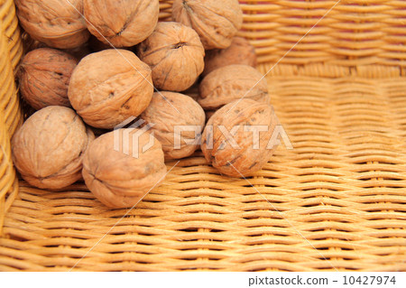 胡桃木 胡桃木 10427974