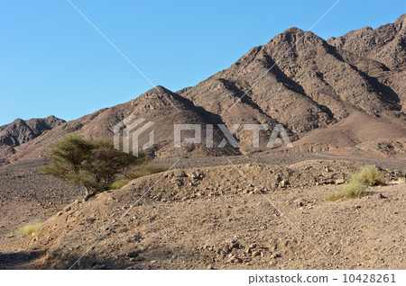 Timna National Park 10428261