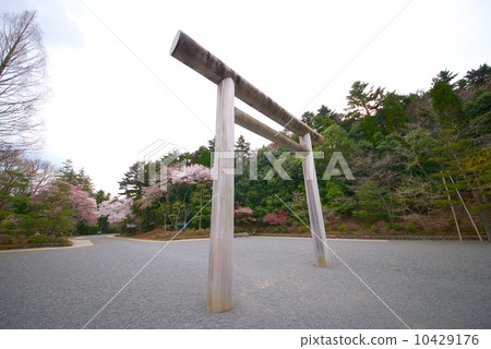 Torii Tama Morin 10429176