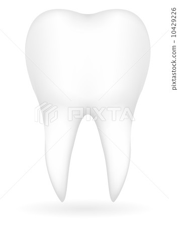 tooth vector illustration tooth vector illustration 10429226