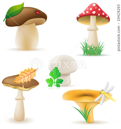 set icons mushrooms vector illustration 10429265