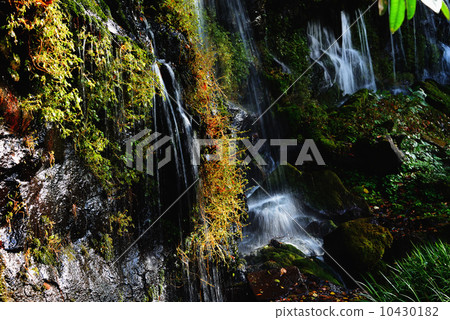 秋天在山谷裡 秋天在山谷裡 10430182