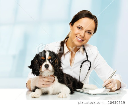 Young positive brunette veterinary woman with spaniel taking notes on tablet pc 10430319