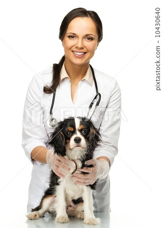 Young positive brunette veterinary woman with spaniel Young positive brunette veterinary woman with spaniel 10430640