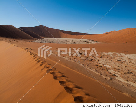 Footprints in the sand of Namib desert red dunes Footprints in the sand of Namib desert red dunes 10431163