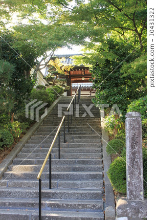 Invited temple Invited temple 10431322