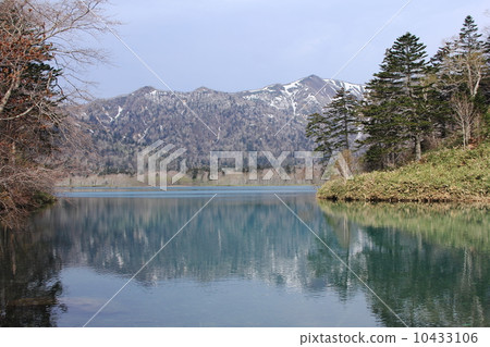 Oko Thang Pepe 10433106