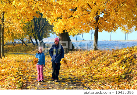 Family in autumn maple park Family in autumn maple park 10433396