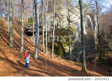Family in forest 10433411