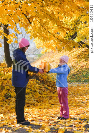 Family in autumn maple park 10433412
