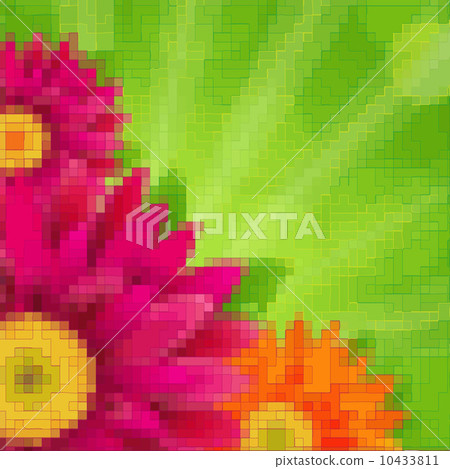 Flowers Card Flowers Card 10433811