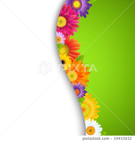 Colorful Gerbers Flower Border Colorful Gerbers Flower Border 10433832