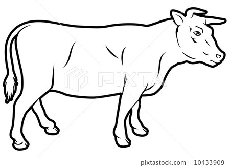 Beef cow illustration Beef cow illustration 10433909