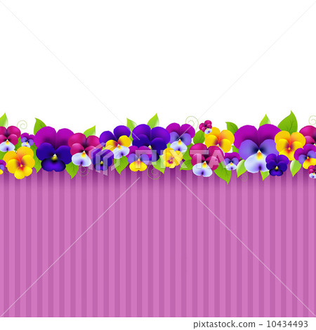 Background With Colorful Pansies Background With Colorful Pansies 10434493