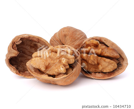 walnut 10434710