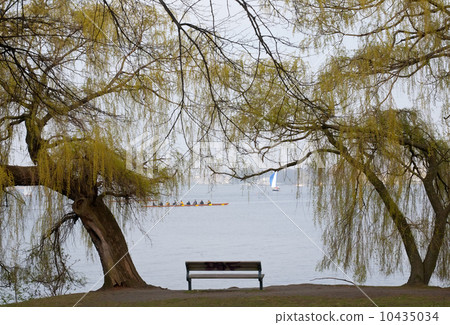bench at the lake bench at the lake 10435034