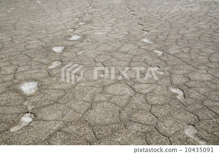 Footprints in salt Footprints in salt 10435091