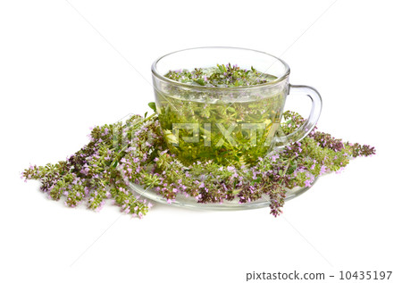 Green thyme tea 10435197