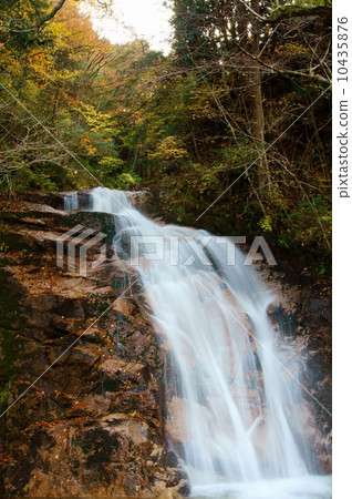 Men waterfall Nagano Prefecture Nagisa Osaka The Odaki Waterfall in Nagano Prf. 10435876