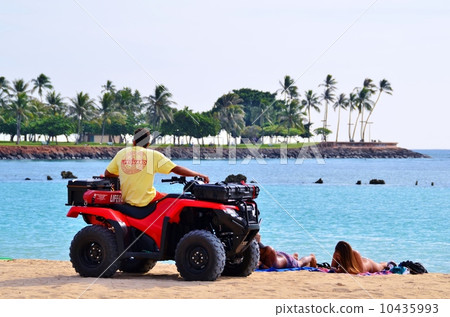 夏威夷的假期 10435993