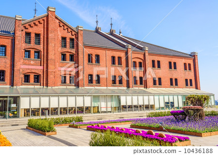 Yokohama Red Brick Warehouse Flower Expo (Naka Ward, Yokohama City) 10436188
