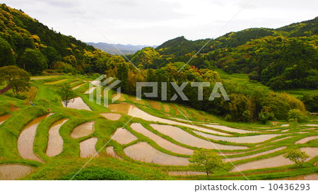 梯田<Oyama Senjita> 梯田<Oyama Senjita> 10436293