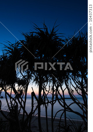 在沖繩的晚上風景 10437313