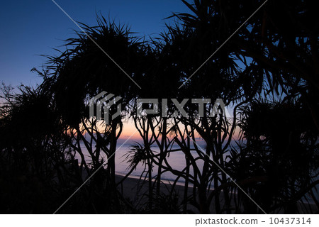 Evening scenery in Okinawa Evening scenery in Okinawa 10437314