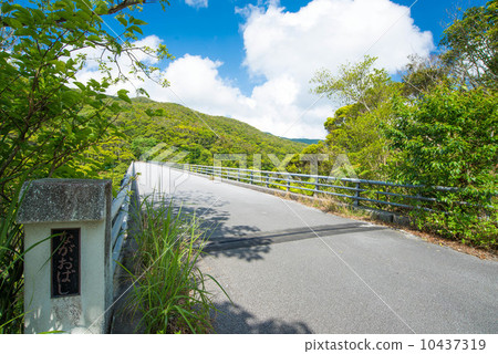 Nagao Bridge and Forest Nagao Bridge and Forest 10437319