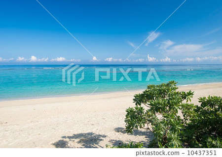 沖繩海 10437351