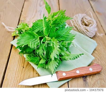 Nettle with napkin and twine on board Nettle with napkin and twine on board 10437978