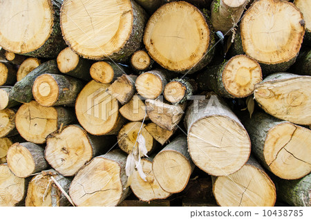 Firewood material 10438785