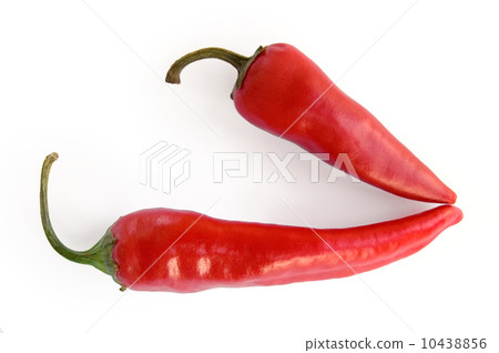 Two pods of hot pepper 10438856